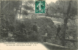 94* CHARENTON  Cyclone 1908 -un Coin De L Ile Le Plus Ravage     RL13.1231 - Charenton Le Pont