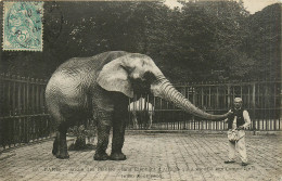 75* PARIS (5)   Jardin Des Plantes    « said » Elephant D Afrique RL27,0242 - Distretto: 05