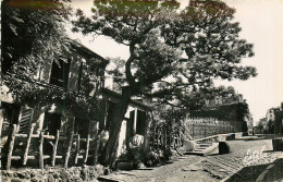 75* PARIS (18)   Montmartre  Cabaret « lapin Agile »(cpsm 9x14cm)        RL27,0844 - Arrondissement: 16