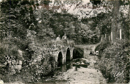 78* DAMMARTIN EN SERVE      Pont De L Arche (cpsm 9x14cm)    RL27,1883 - Autres & Non Classés