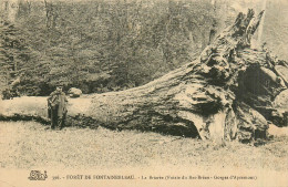 77* FONTAINEBLEAU    La « briaree »   RL27,1850 - Fontainebleau