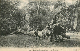 77* FONTAINEBLEAU   La « briaree »    RL27,1848 - Fontainebleau