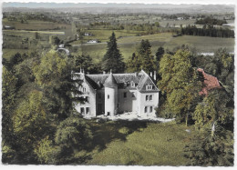 Saint Cirq , Aérienne , Château - Sonstige & Ohne Zuordnung