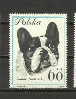 POLAND  1963 - DOGS , MNH - Ongebruikt