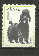 POLAND  1963 - DOGS , MNH - Unused Stamps