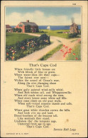 20019511 - Cape Cod - Other & Unclassified
