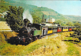 CHEMIN DE FER DU VIVARAIS - Ligne TOURNON-LAMASTRE - Le Mastrou Vers Douce Plage - Trains