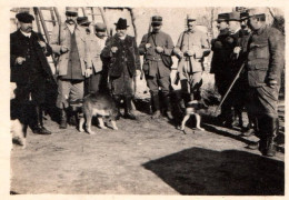 Chasse - Photo Ancienne Originale - Groupe De Chasseurs , Chiens , Fusils - Hunt Hunting - 8,5x6cm - Chasse
