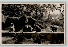 10500111 - Zoo Hagenbeck Braunbaeren Schlacht Ca 1938 AK - Other & Unclassified