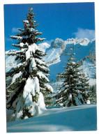 Thèmes. Autres. Montagne Route Eneigée Neige & (2) & (3) & (8) & (9) Savoie - Autres & Non Classés