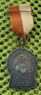 Medaile   :  Kersentocht "De Kieviten " Heerlen 9-juli 1956 -  Original Foto  !!  Medallion  Dutch . - Andere & Zonder Classificatie