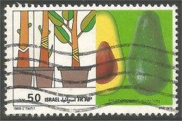 FR-11 Israel Fruits Avocat Aguacate Avocado - Fruit
