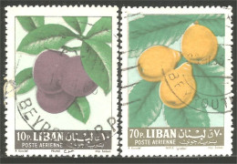 FR-24 Liban Fruits Prune Plum Nèfle Medlar Nespola Ameixa Prugna Pflaume - Fruits