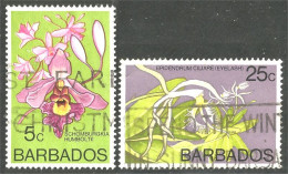 FL-92a Barbados Orchidée Orchid Orchidee Orchidea Orquidea - Altri & Non Classificati