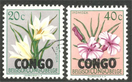 FL-89 Congo Fleurs Flowers Blume MH * Neuf - Other & Unclassified