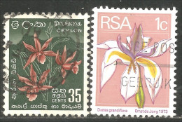 FL-86 Ceylon South Africa Orchidées Orchids - Autres & Non Classés