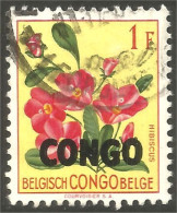 FL-56 Congo Hibiscus - Autres & Non Classés