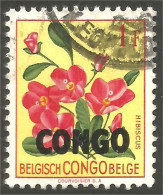 FL-57 Congo Hibiscus - Autres & Non Classés