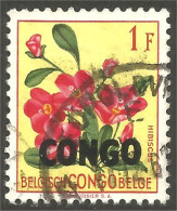 FL-55 Congo Hibiscus - Autres & Non Classés