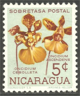 FL-32 Nicaragua Orchidée Orchid Orchidee Orchidea Orquidea - Orquideas