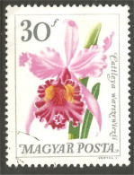 FL-17 Magyar Posta Orchidée Orchid Orchidee Orchidea Orquidea - Orchideen