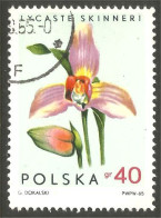 FL-14 Polska Orchidée Orchid Orchidee Orchidea Orquidea - Orchids