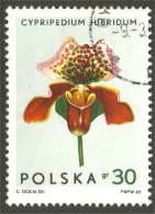 FL-13 Polska Orchidée Orchid Orchidee Orchidea Orquidea - Orchids