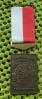 Medaile   :  Avondvierdaagse 1987 - Liegbank - Helmond  -  Original Foto  !!  Medallion  Dutch . - Otros & Sin Clasificación