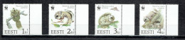 Protection De La Nature : Ecureuil Volant - Estland