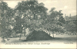 10990541 Cambridge Cambridgeshire Miltons Mulberry Tree Christ College  Cambridg - Andere & Zonder Classificatie