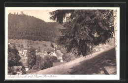 AK Bad Teinach, Ortsansicht Mit Ruine Zavelstein  - Bad Teinach