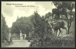 AK Königs-Wusterhausen, Schloss-Eingang Mit Hirsch  - Wusterhausen