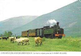 CPSM - (Dep 04) - SAINT ANDRE LES ALPES - Le Train à Vapeur - Chemins De Fer De Provence - Troupeau De Vache - Autres & Non Classés