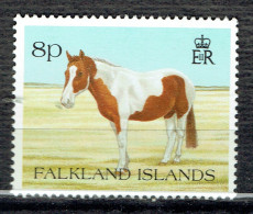 Faune. Animaux Familiers : Poney - Falklandinseln