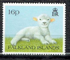 Faune. Animaux Familiers : Agneau - Falklandinseln