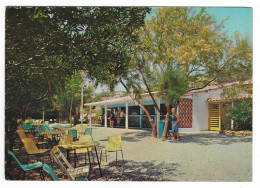 Les Issambres - 1966 - Village De Vacances Touring Club - Le Bar # 11-23/22 - Les Issambres