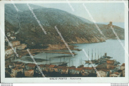 Bg174 Cartolina Giglio Porto Panorama Provincia Di Grosseto - Grosseto