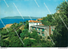 Br507 Cartolina Porto S.stefano Pensione Albergo Belvedere Grosseto Toscana - Grosseto