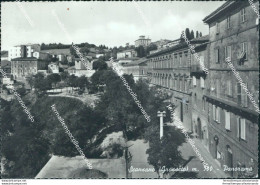 Bo571 Cartolina Scansano Panorama Provincia Di Grosseto - Grosseto