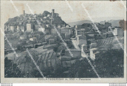 Bg355 Cartolina Roccatederighi Panorama Provincia Di Grosseto - Grosseto