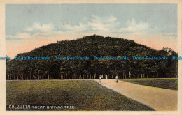 R057442 Calcutta. Great Banyan Tree. B. Hopkins - World