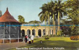 R057444 View In The Zoological Gardens. Calcutta. Hartmann. B. Hopkins - World