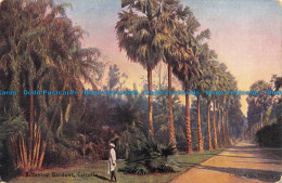 R057449 Botanical Gardens. Calcutta. Clifton. B. Hopkins - World