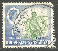 AL-132 Rhodesia Nyasaland Tabec Tobacco Tabak Agriculture - Ernährung