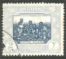 AL-135 Sudan Récolte Coton Cotton Picking Agriculture - Food