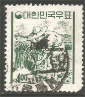 AL-123 Korea Rizière Cueillette Riz Rice Harvesting Field Agriculture - Alimentation