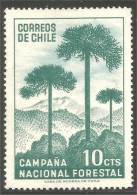 AL-96 Chile Arbres Trees Forêt Forest Agriculture - Árboles