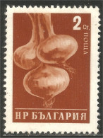 AL-81 Bulgarie Onions Oignon Agriculture - Levensmiddelen