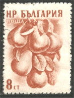 AL-82 Bulgarie Quinces Coings Cognassier Fruit Tree Agriculture - Alimentación