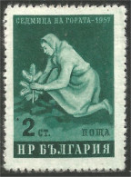 AL-77 BulgarieFemme Woman Planting Tree Plantation Arbre Agriculture No Gum - Alimentación